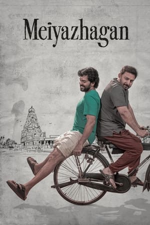 6flymovie Meiyazhagan (2024) Dual Audio [Hindi-Tamil] Netflix WEB-DL