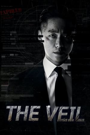 6flymovie The Veil (2024) S01E01-03 Bengali Dubbed ORG Chorki WEB-DL