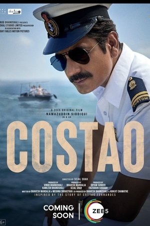 6flymovie Costao (2025) Hindi HDRip