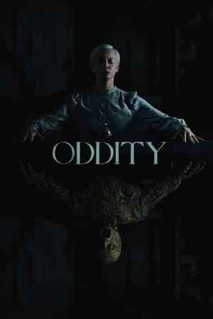 6flymovie Oddity (2024) BluRay ORG. [Dual Audio] [Hindi + English]