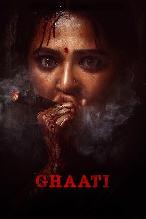 6flymovie Sheelavathi The Ghaati Queen (2025) Hindi Amazon 