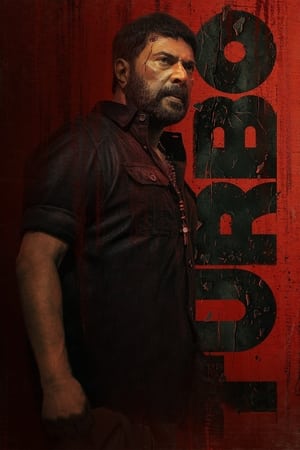 Turbo (2024) HINDI,BANGLA DUAL AUDIO WEB-DL