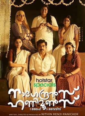 6flymovie Nagendran's Honeymoons (2024) MALAYALAM, TAMIL, HINDI, TELUGU, KANNADA, BANGLA, MARATHI WEB-DL